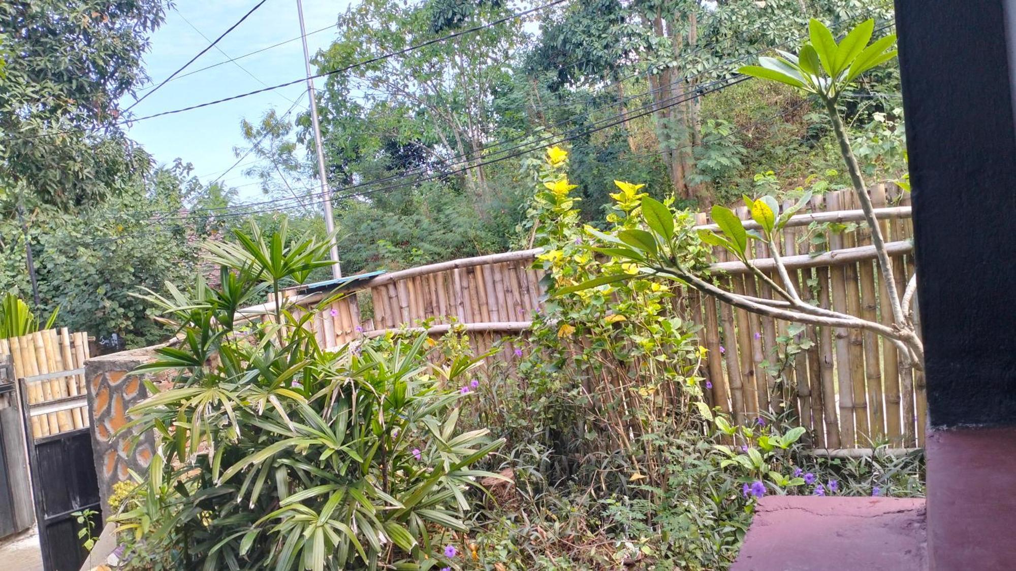 Palm Homestay Kuta Kuta  Eksteriør bilde