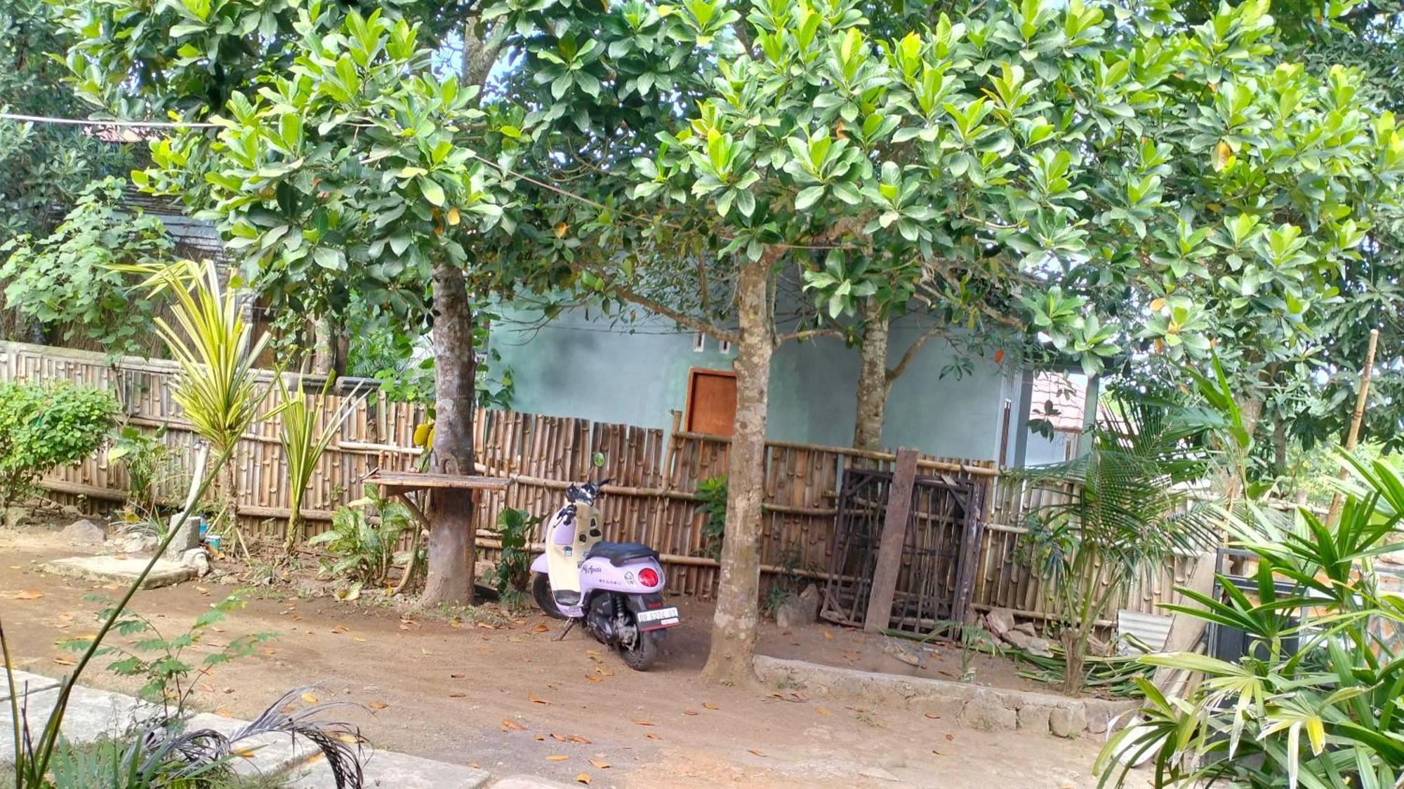 Palm Homestay Kuta Kuta  Eksteriør bilde