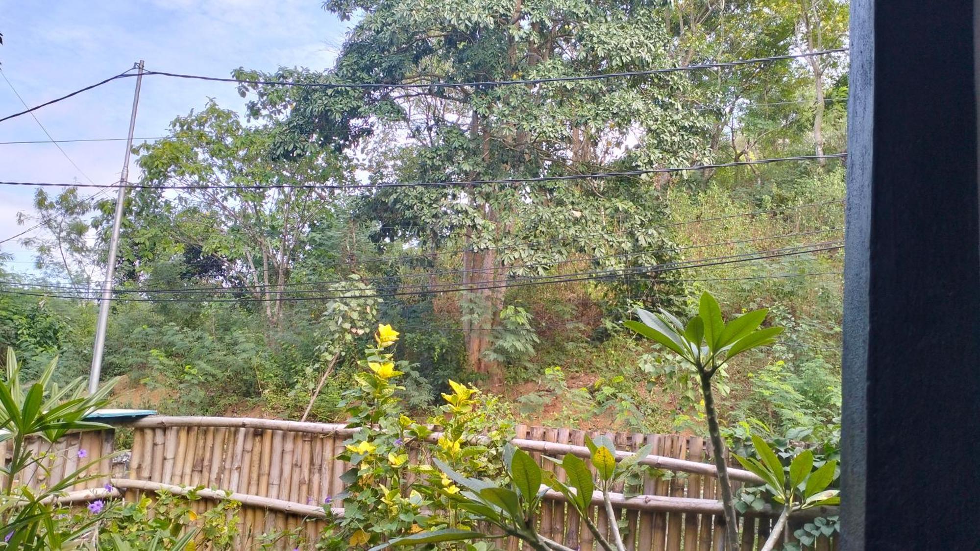 Palm Homestay Kuta Kuta  Eksteriør bilde