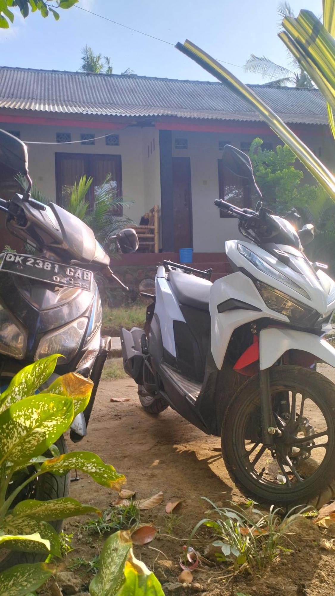 Palm Homestay Kuta Kuta  Eksteriør bilde