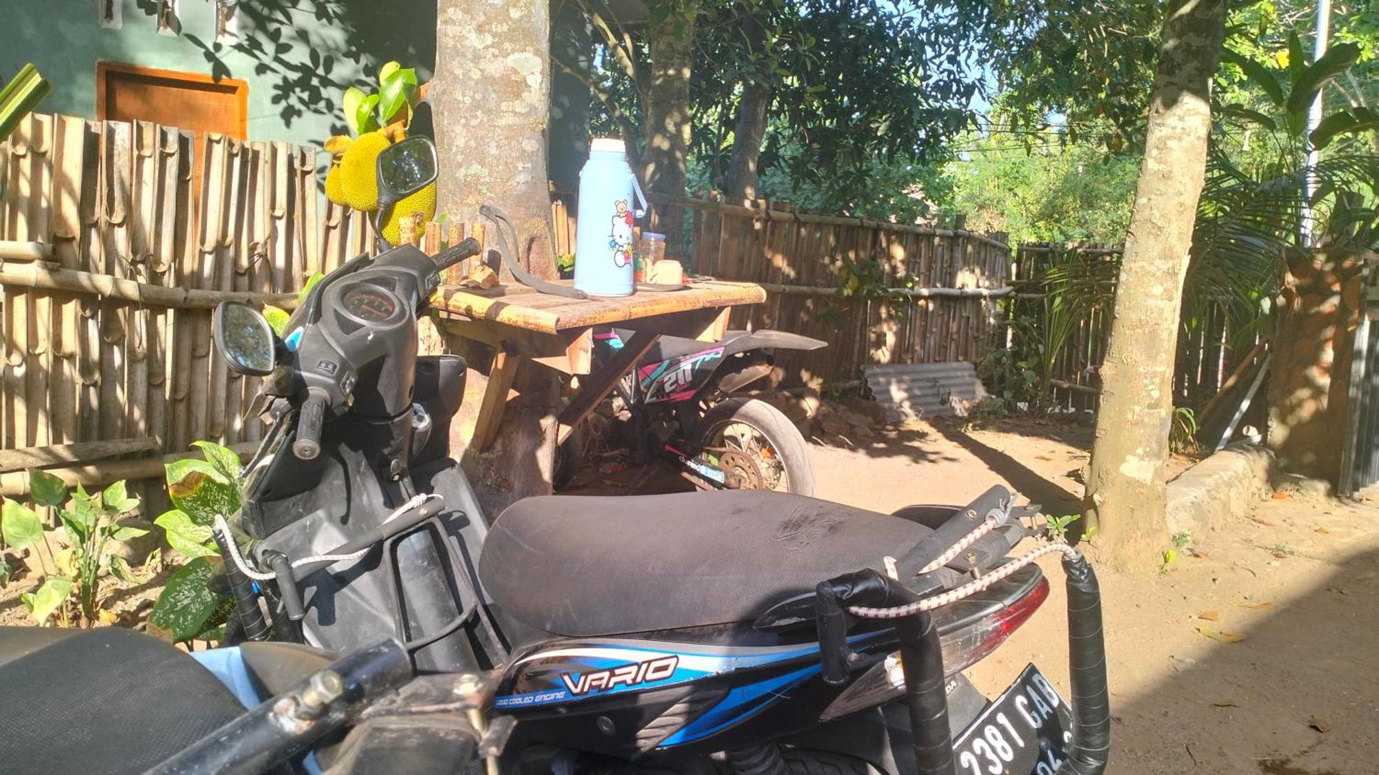 Palm Homestay Kuta Kuta  Eksteriør bilde