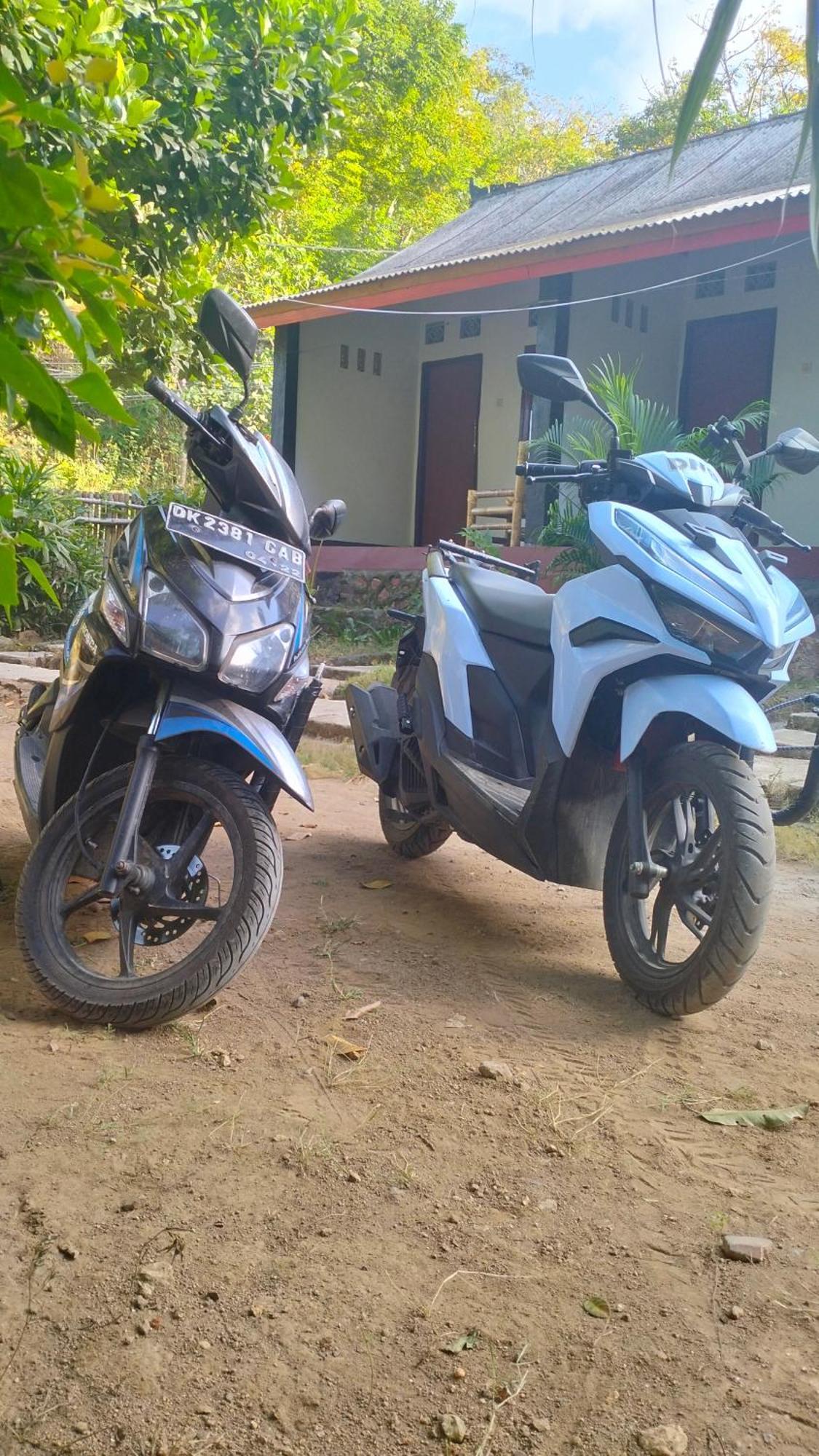 Palm Homestay Kuta Kuta  Eksteriør bilde