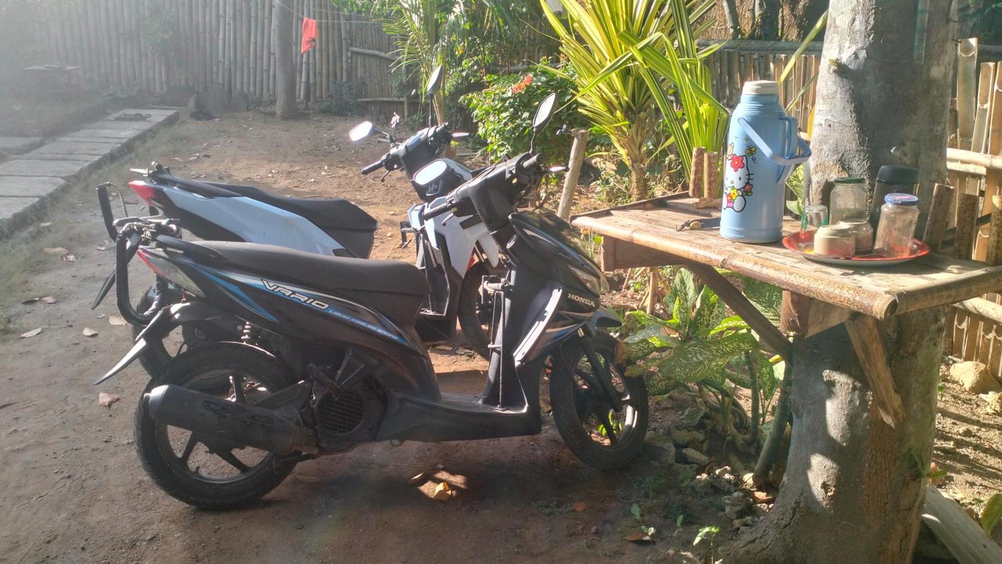 Palm Homestay Kuta Kuta  Eksteriør bilde
