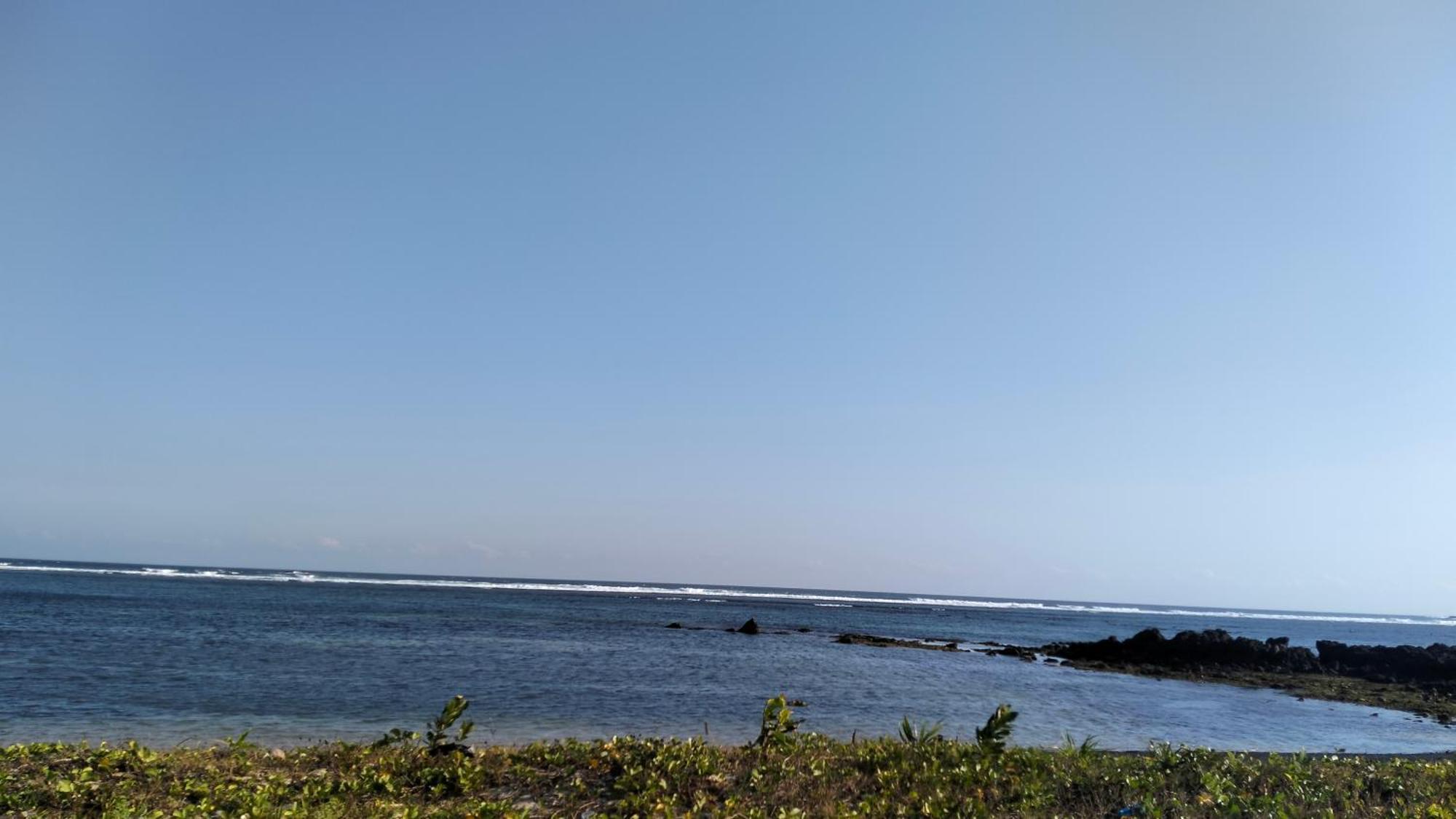 Palm Homestay Kuta Kuta  Eksteriør bilde